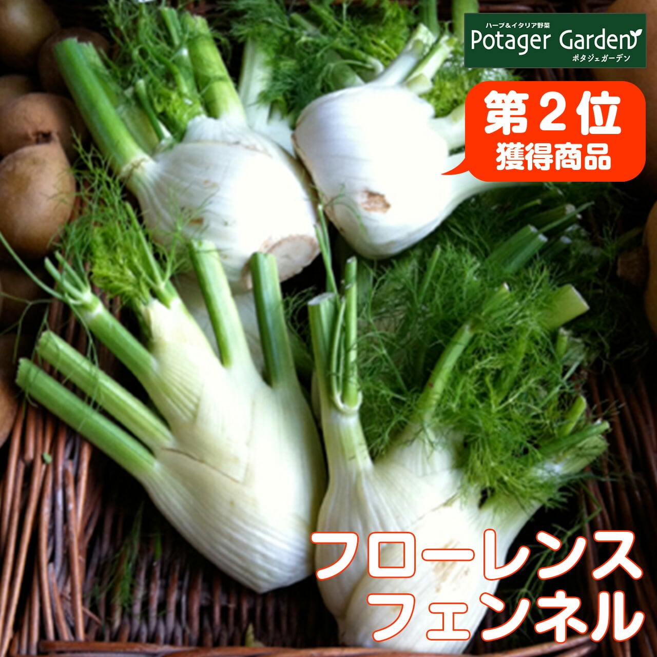 5368829365f1dd4b014623b739c8f0