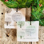 コーヒーの木のモチーフのかや生地布巾 2カラー