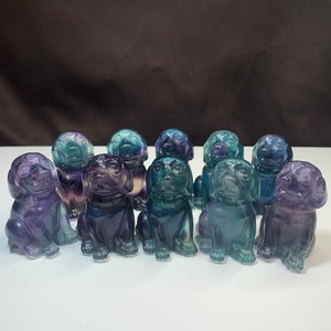 可愛い大家族☆フローライト・犬