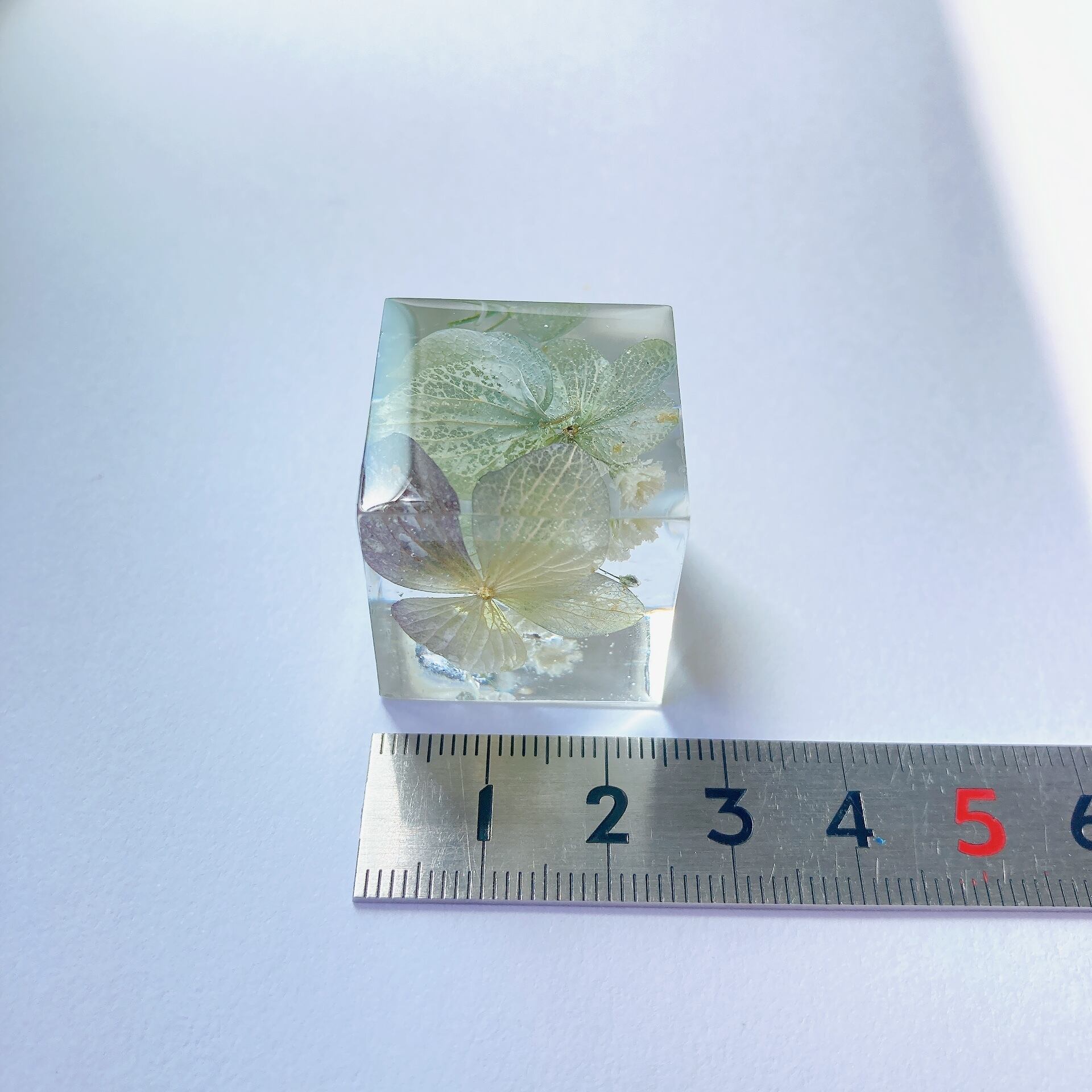 flower cube 【hydrangea】S