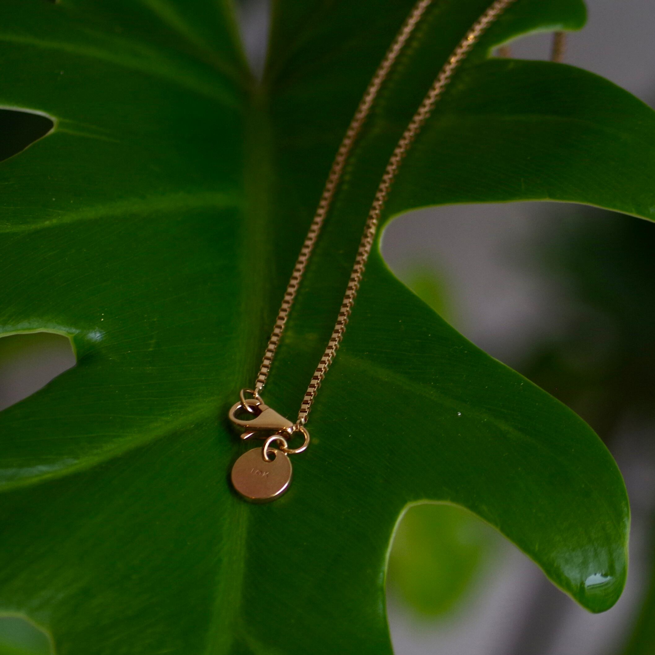 E R A. TWNKL NECKLESS 10K SL014 | 1F Store