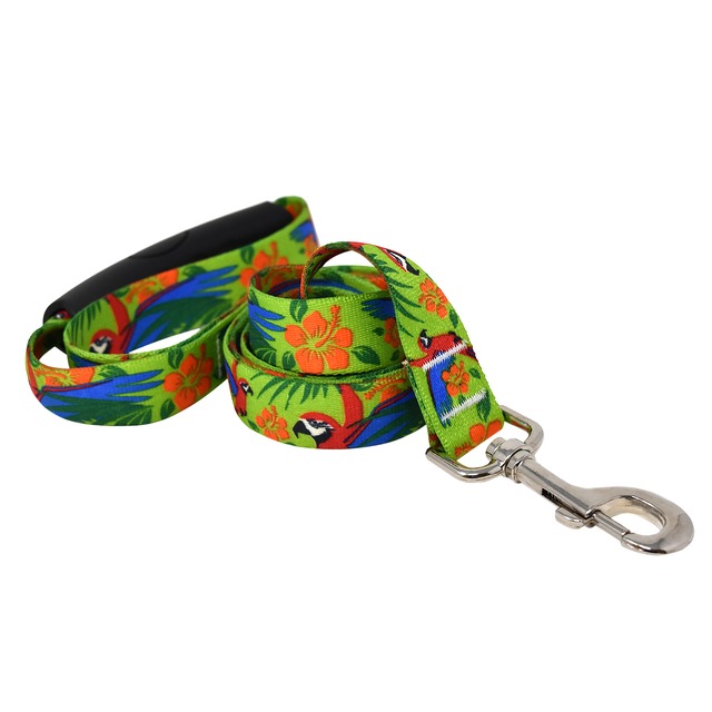 Macaw Red　首輪＋リードセット Lサイズ - Yellow Dog Design