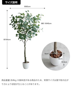 観葉植物 ユーカリ フェイクグリーン 光触媒人工観葉植物 高さ150cm