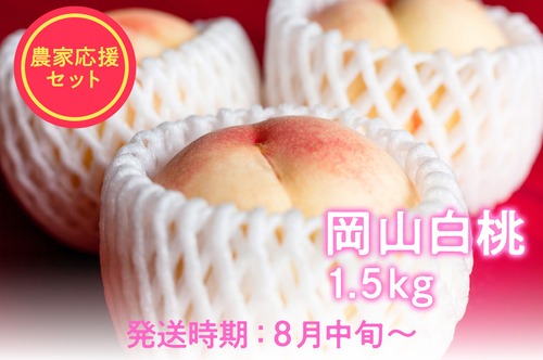 【岡山白桃2026】品種おまかせ｜8月中旬～9月上旬発送