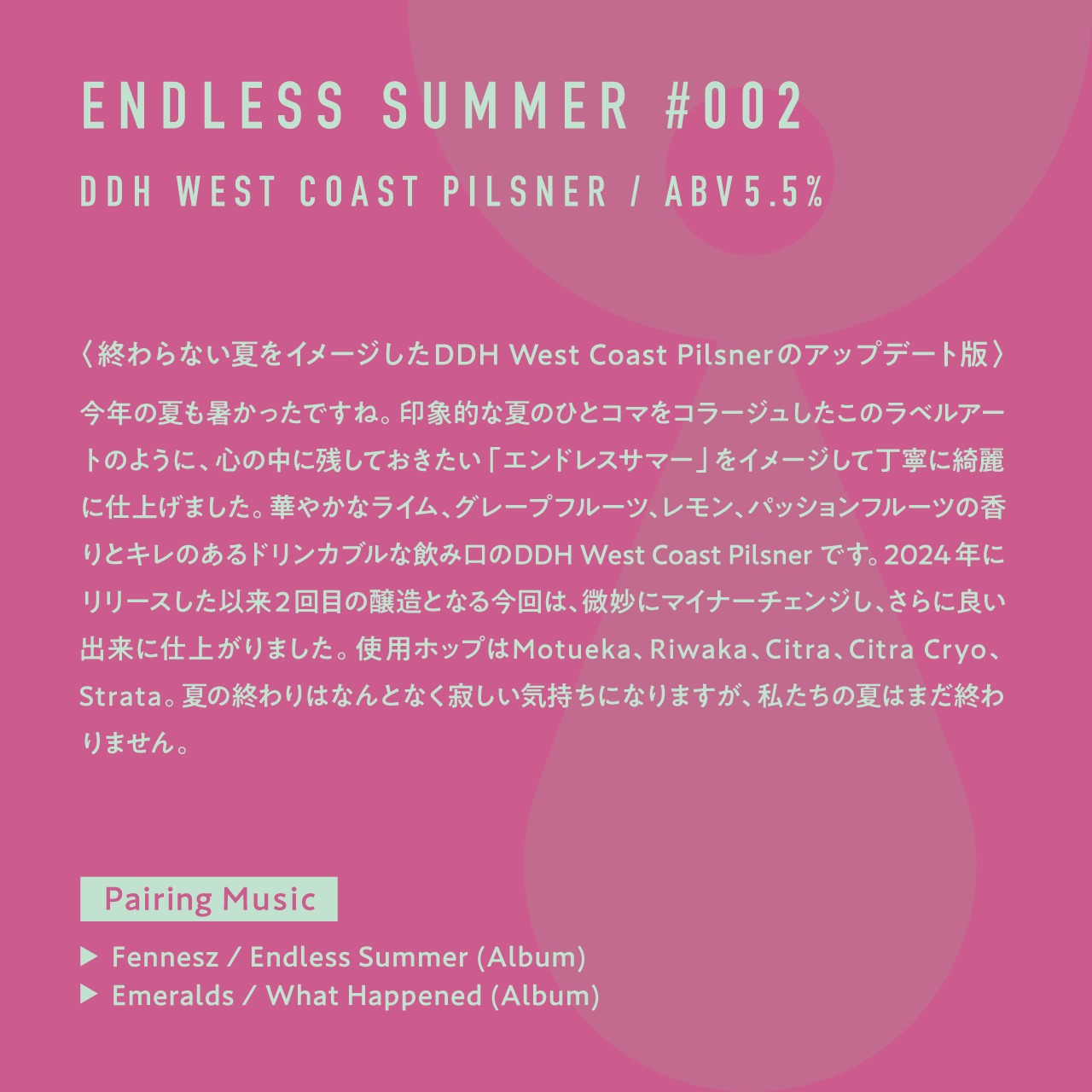 ＜Endless Summer #002  // エンドレスサマー#002＞500ml缶