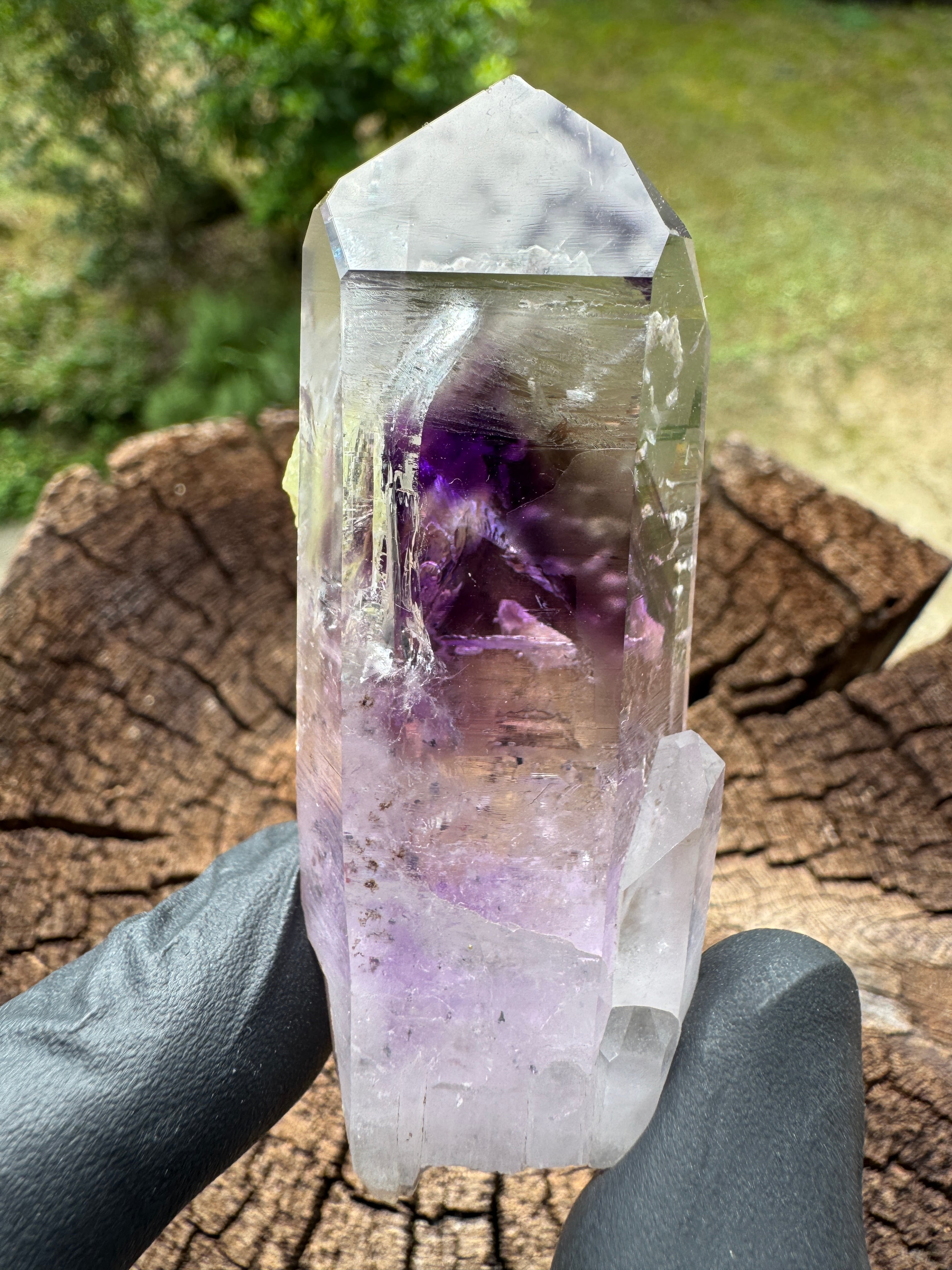 ゴボボセブアメジスト | アトリエ セドナ