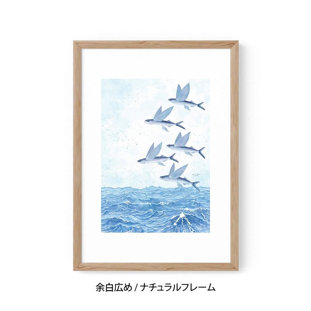 A3｜魚翔海図（ぎょしょうかいず）（フレームあり）