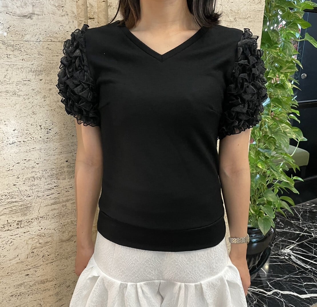 SONIA JOHNES 黒 フリル Vネック トップス前あき　中古美品 SONIA JOHNES 黒 フリル Vネック トップス前あき 中古美品 2025