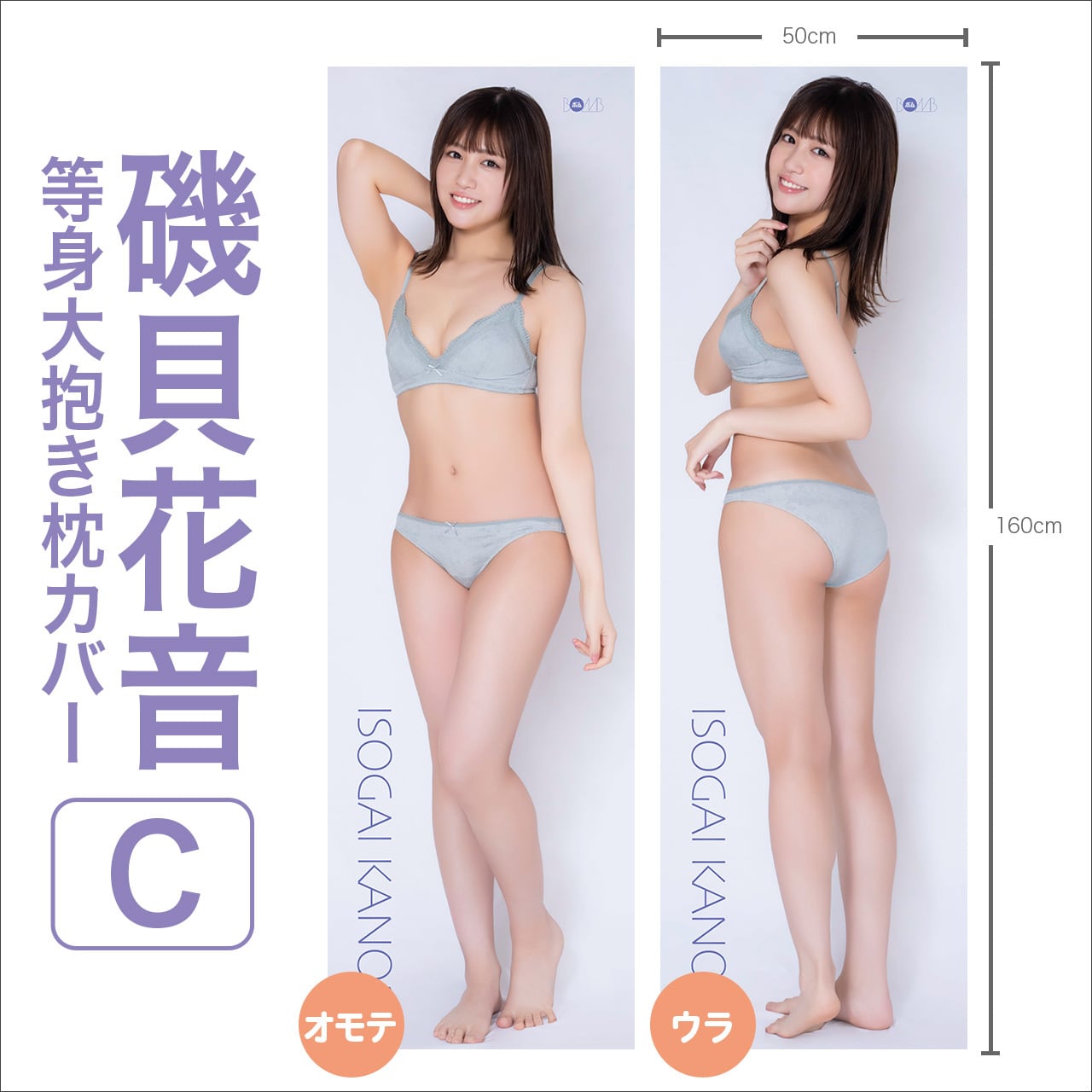 豊田ルナ等身大タオルブランケットC ※サインなし】 | ボムアイドル工房Z