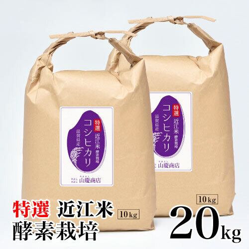 【送料無料】近江のお米　20kg（10kg×２本）