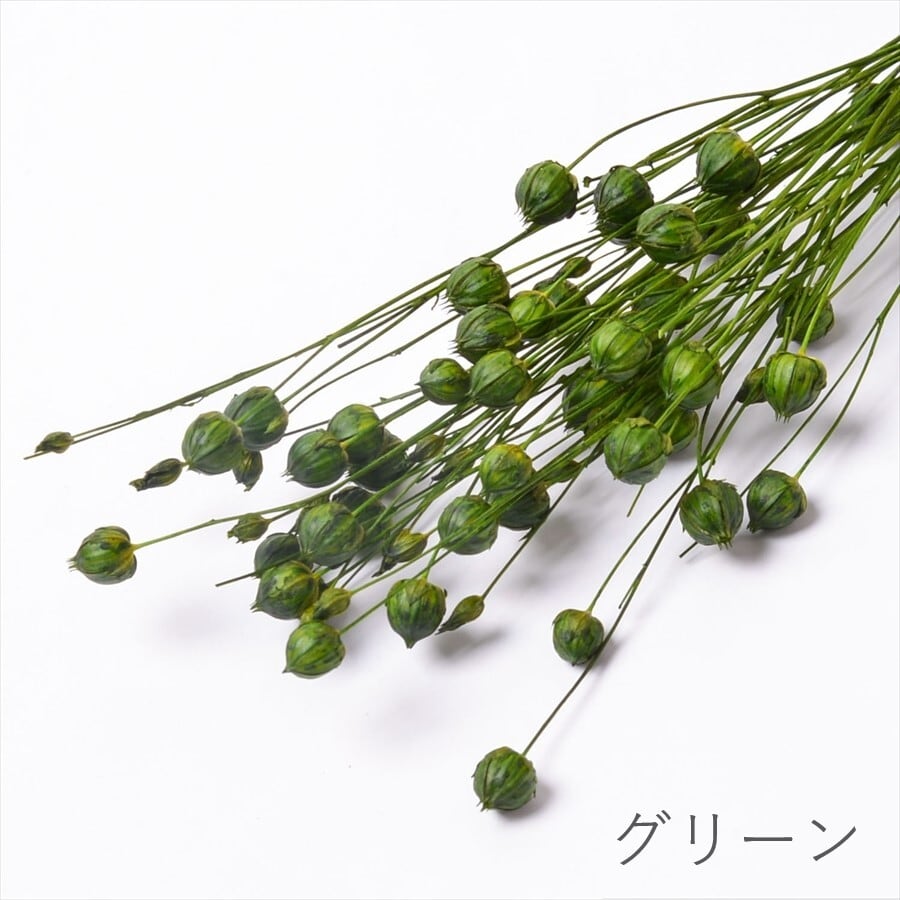 リンフラワー10gサイズ目安確認用 リンフラワー Small Pack | ＋FLOWER・プラスフラワー・プリザーブド