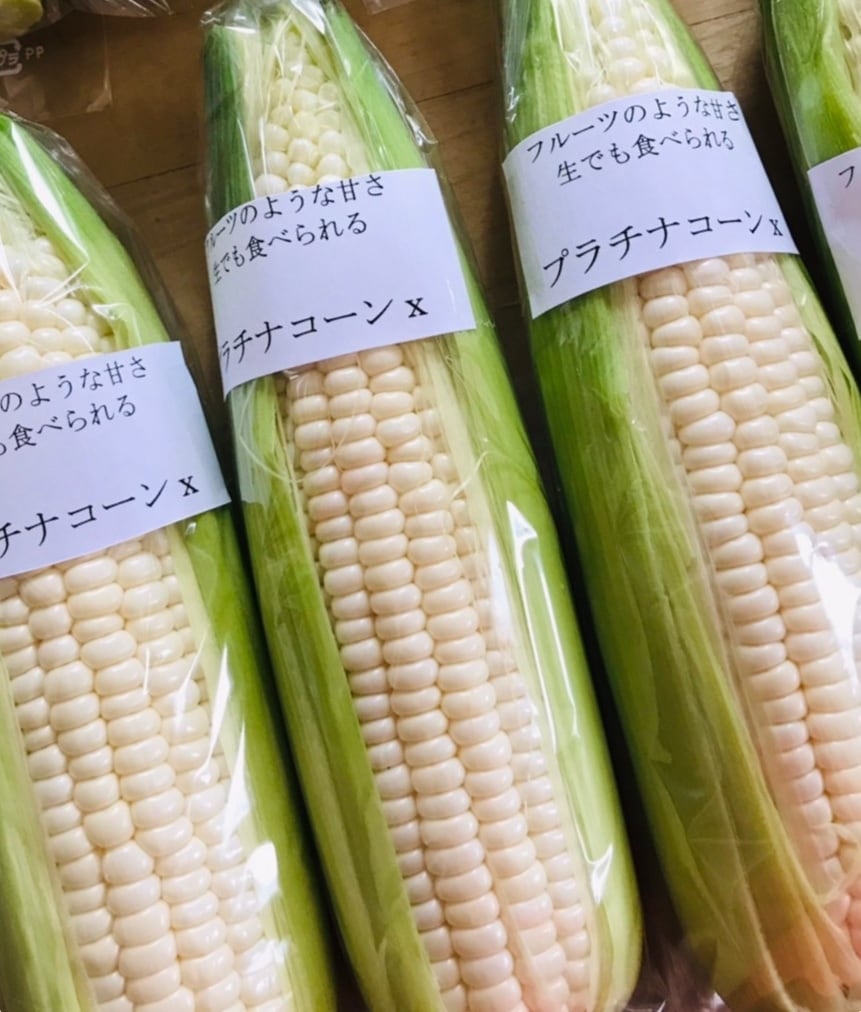 プラチナコーンχ 10本 | 東広島ブルーベリー農園ふっこりーな