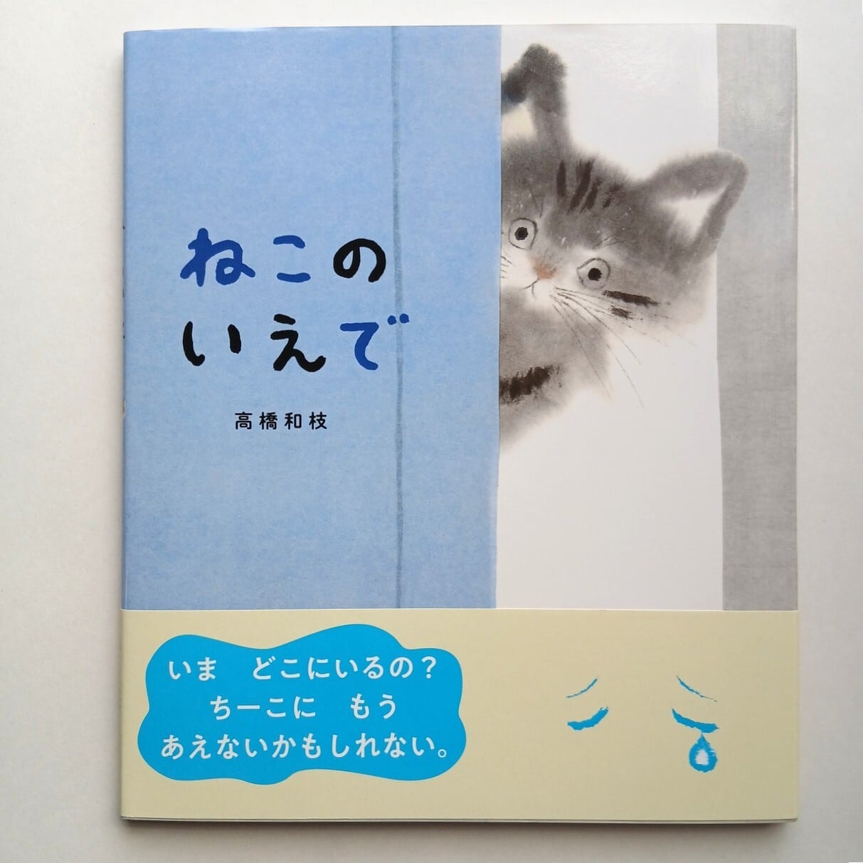 ねこのいえで | ねこのみち