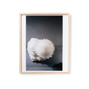 CLARITY [ Ⅰ ] -  Framed print No.27　size M