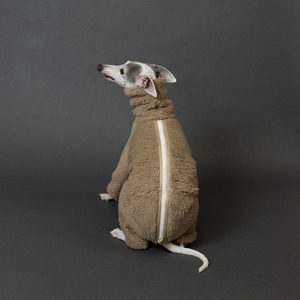 もこもこボアスーツ　beige（ベージュ） / イタグレ服