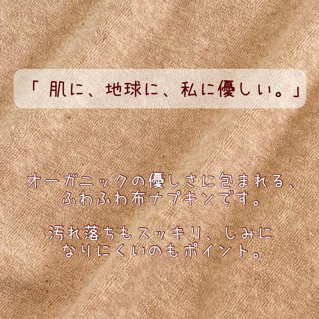 22cm パイル オーガニック 布ナプキン 防水仕様 4枚セット 普通の日用 439