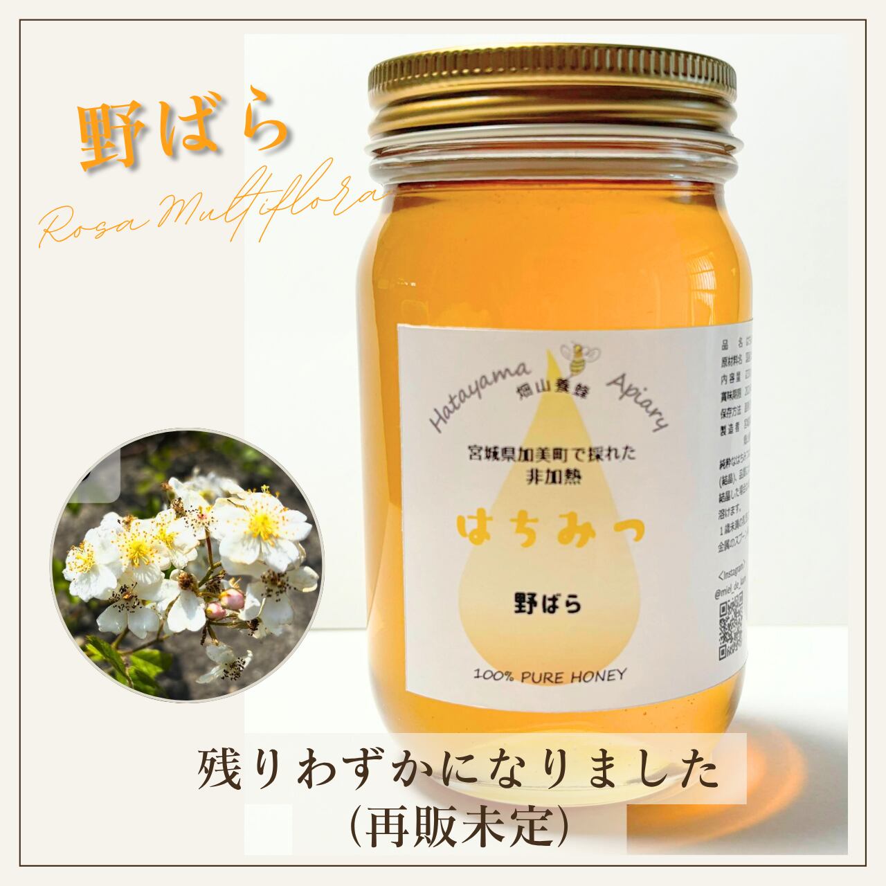 野ばらのはちみつ 300g | 宮城県産天然・非加熱はちみつ 畑山養蜂