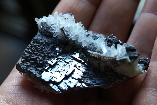 ガレナ / クォーツ / チャルコパイライト Galena / Quartz / Chalcopyrite