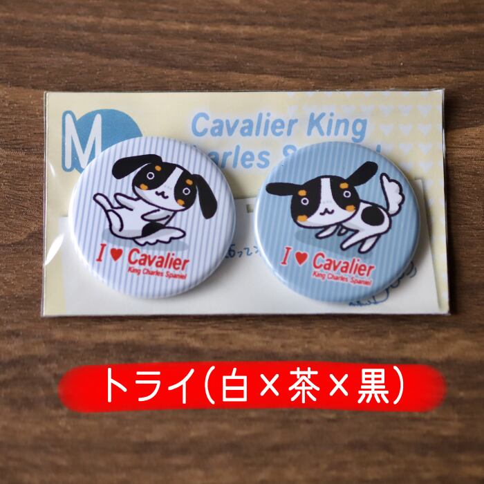 かわいいマグネット【キャバリア 】2個セット | ワンコと家族のワンコ