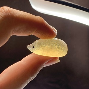 フローライトキノコとハリネズミさん