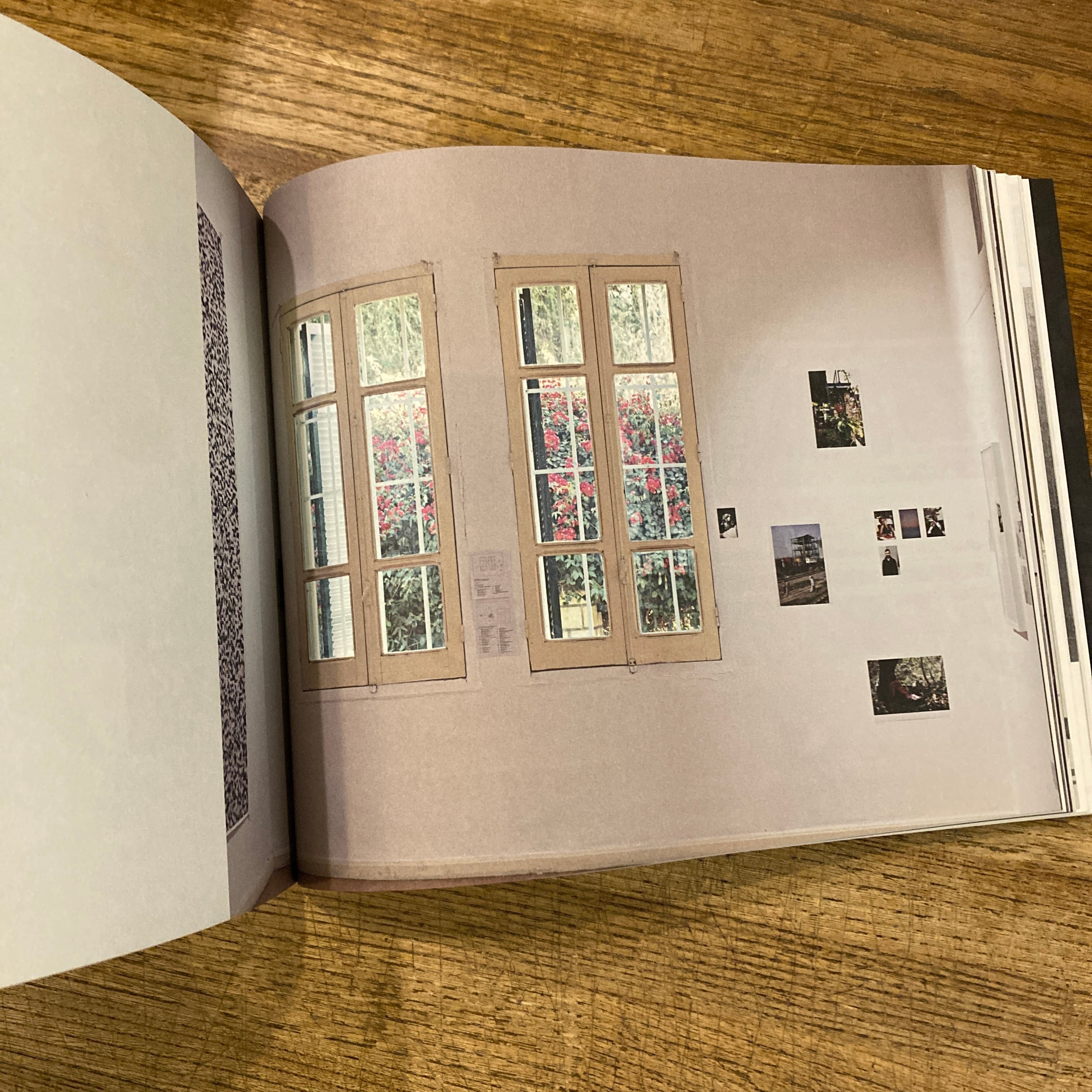 Today Is The First Day / Wolfgang Tillmans（ヴォルフガング