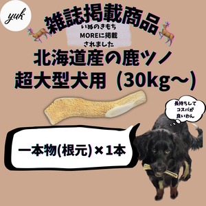 一本物　根元　超大型犬用　蝦夷鹿のツノ　ワンちゃん用オモチャ　ドッグガム　鹿角