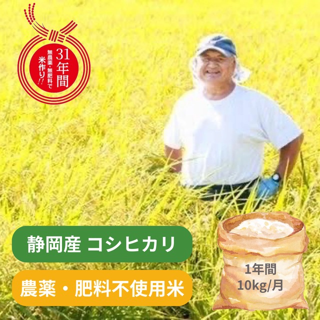 1年間/月10kg】杉本さんの32年間農薬・肥料不使用米【コシヒカリ 1年間/月10kg】杉本さんの32年間農薬・肥料不使用米【コシヒカリ