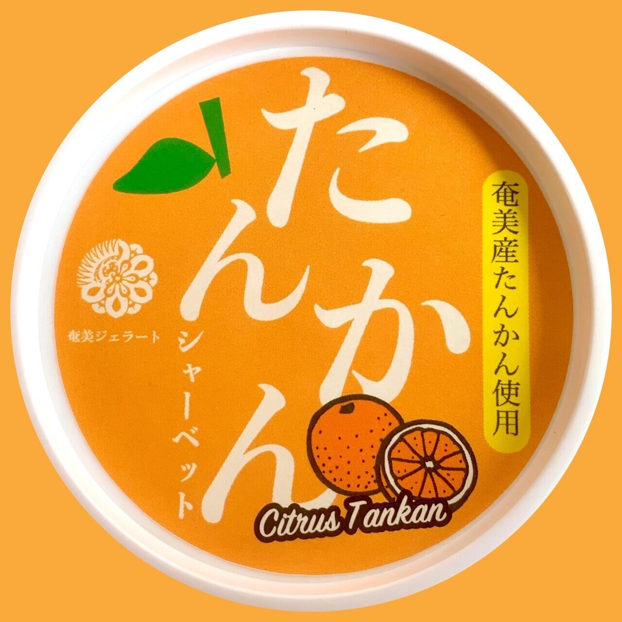 ジェラート 6個 奄美産 きんかん グァバ バナナ 白ゴマ プレゼント 贈答 フルーツ 低脂肪 すもも フレーバー ギフト 塩 黒糖 みき 奄美黒糖焼酎 たんかん パッションフルーツ 低カロリー フルーツパパイヤ ジェラート 6個 奄美産 きんかん グァバ バナナ 白ゴマ プレゼント 贈答 フルーツ 低脂肪 すもも フレーバー ギフト 塩 黒糖 みき 奄美黒糖焼酎 たんかん パッションフルーツ 低カロリー フルーツパパイヤ