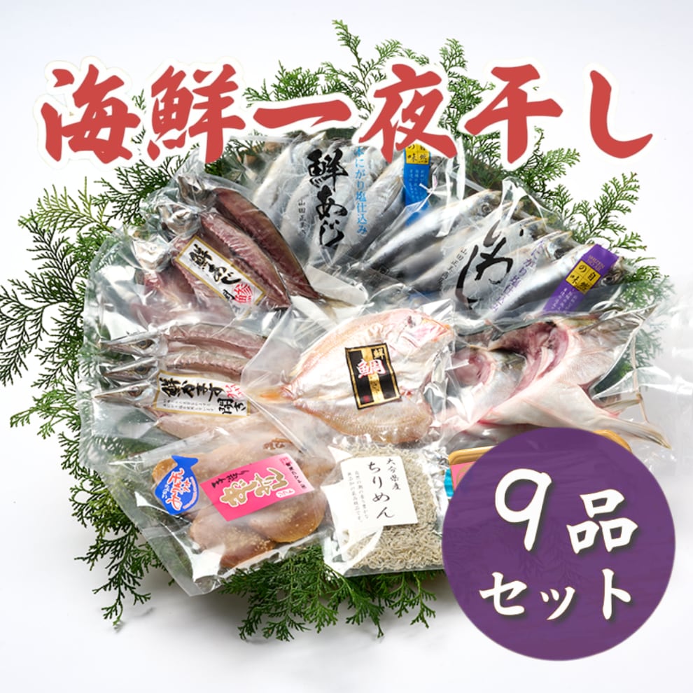 【鮮度が違う!】海鮮一夜干し9品セット【送料無料】北海道・沖縄は別途送料