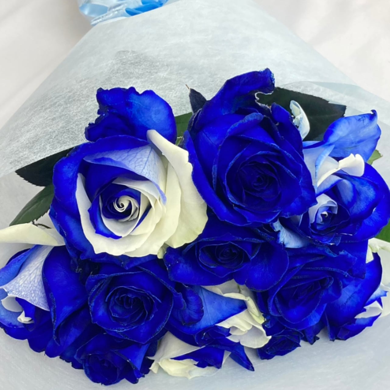 グラデーション薔薇 10本から本数選べる花束（通常ラッピング） | T