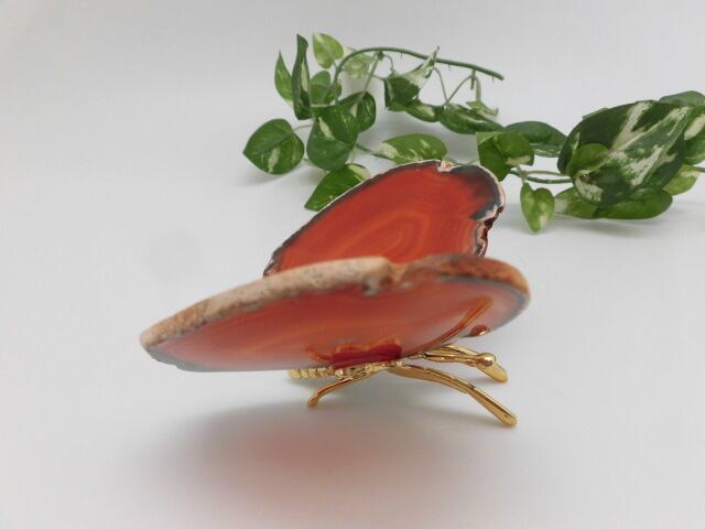 【瑪瑙】　ゴージャス蝶々　no.2