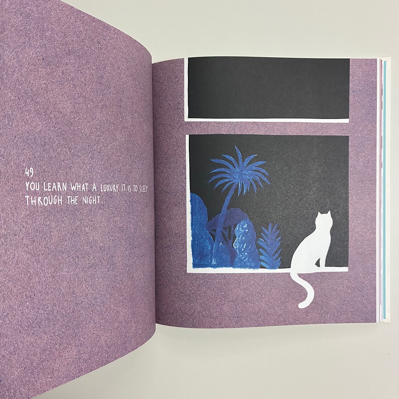 Hundred: What You Learn in a Lifetime | 素敵な洋書絵本のお店 Read