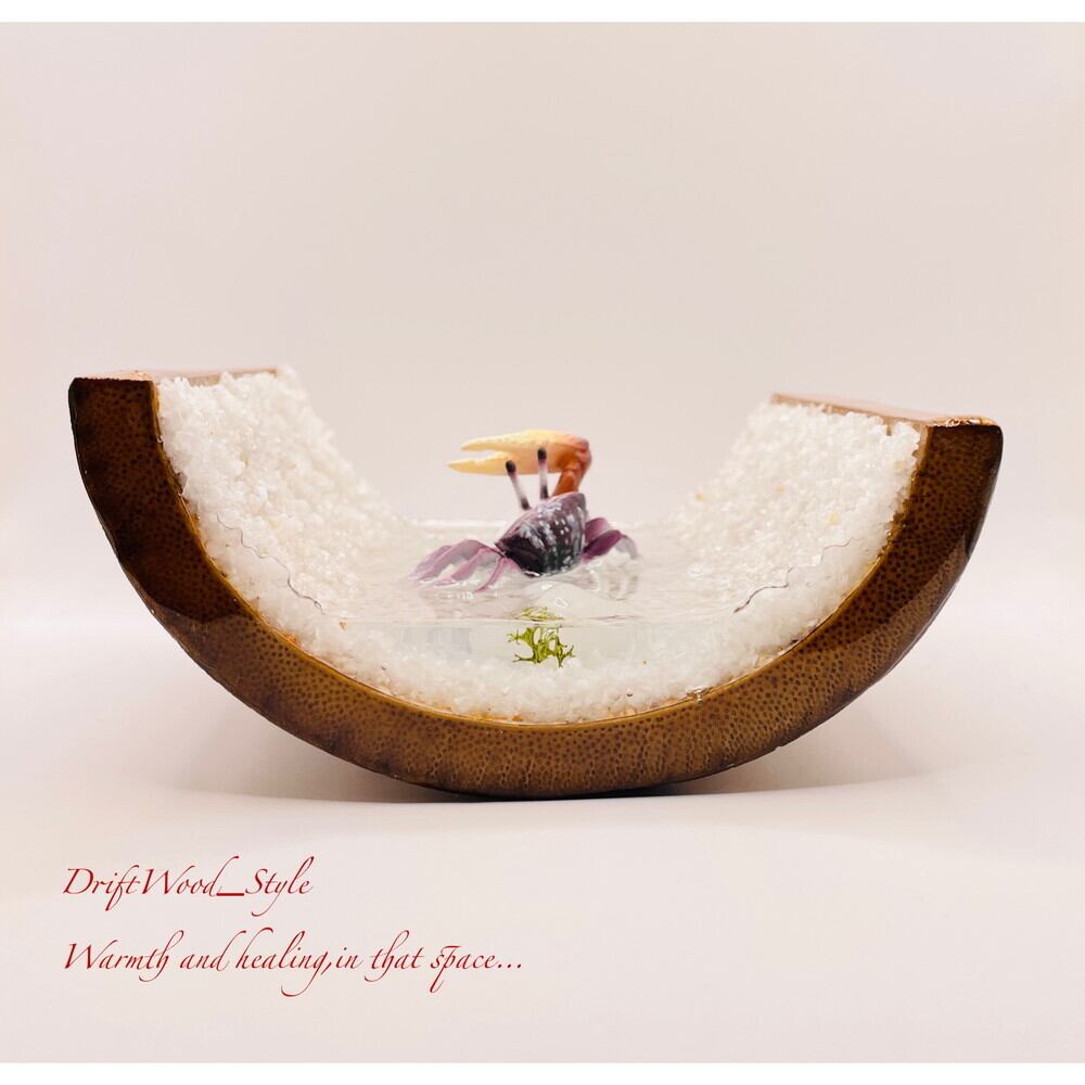 海の世界を閉じ込めた流木アート 浅瀬を歩くシオマネキ カニ 水中