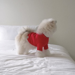 【予約】[ togethering ] Eyelet Crop T-Shirt｜Red