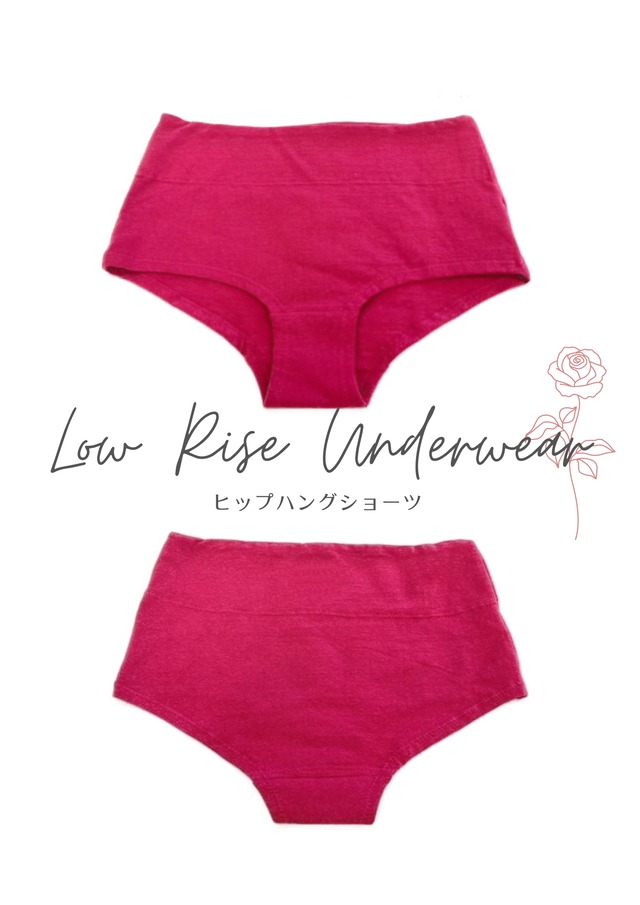 【S〜Lサイズ】ヒップハングショーツ Low Rise Underwear