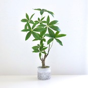 パキラ フェイクグリーン 造花  鉢植え  インテリア 約H60cm