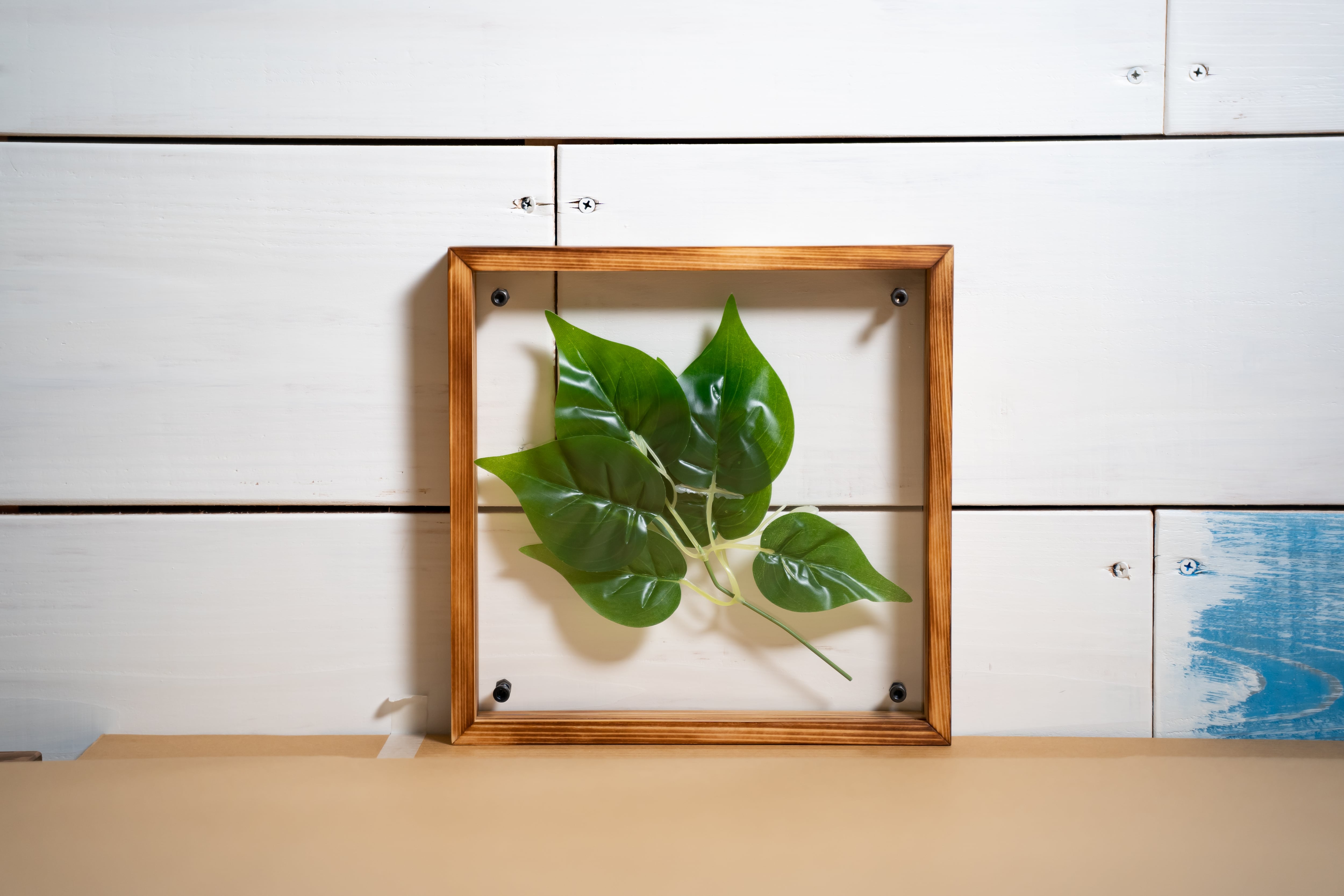 リーフパネル 絵画 フィカス ウンベラータ/インテリア 壁掛け 額入り