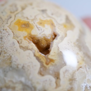 クレイジーレースアゲート イエロー / パーム