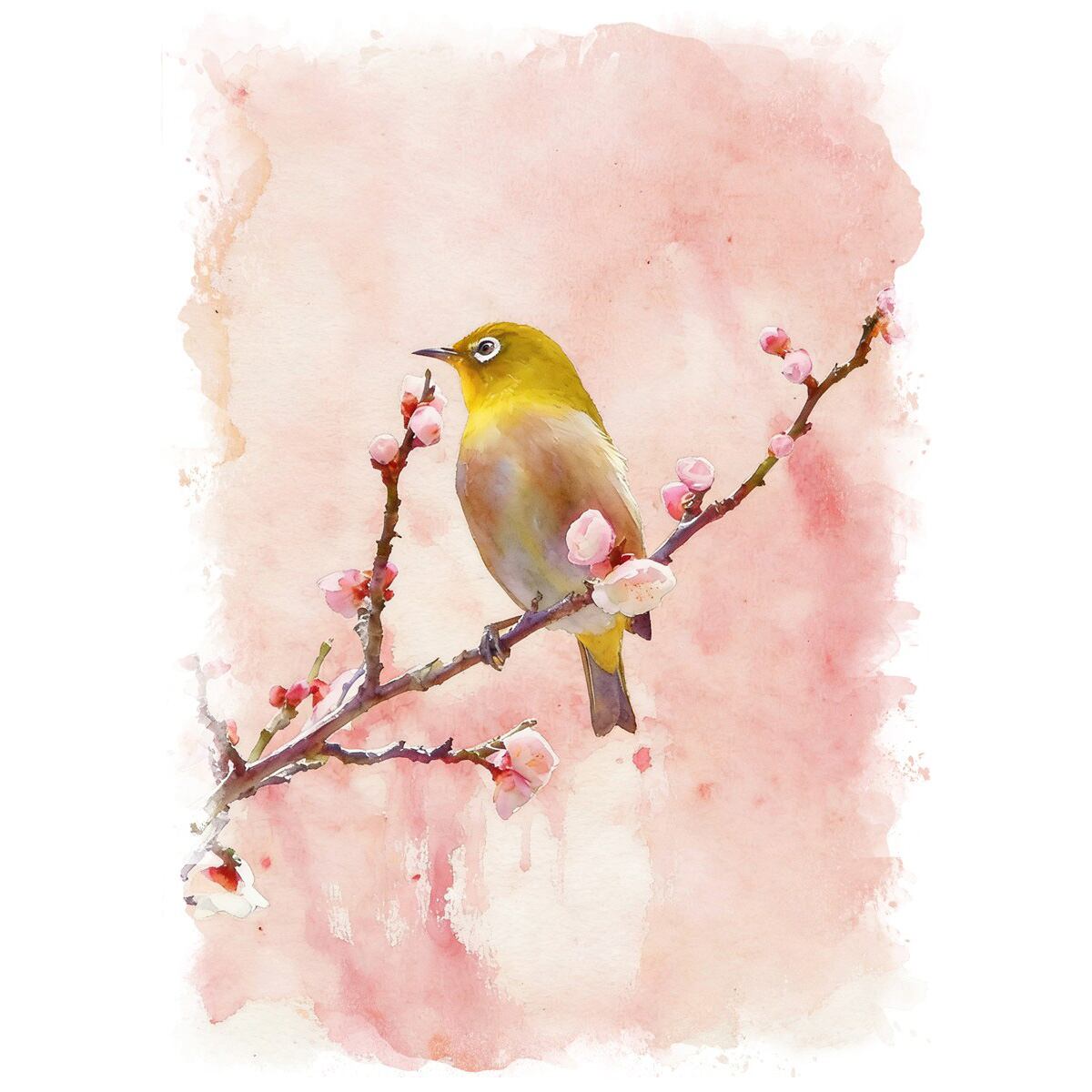 絵画 動物 鳥 メジロ インテリアアート額付き 水彩画・油絵風 WAT1127
