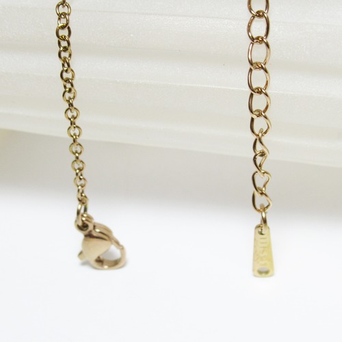 ステンレススチール PG 40㎝＋アジャスター  1.2㎜幅  アズキ