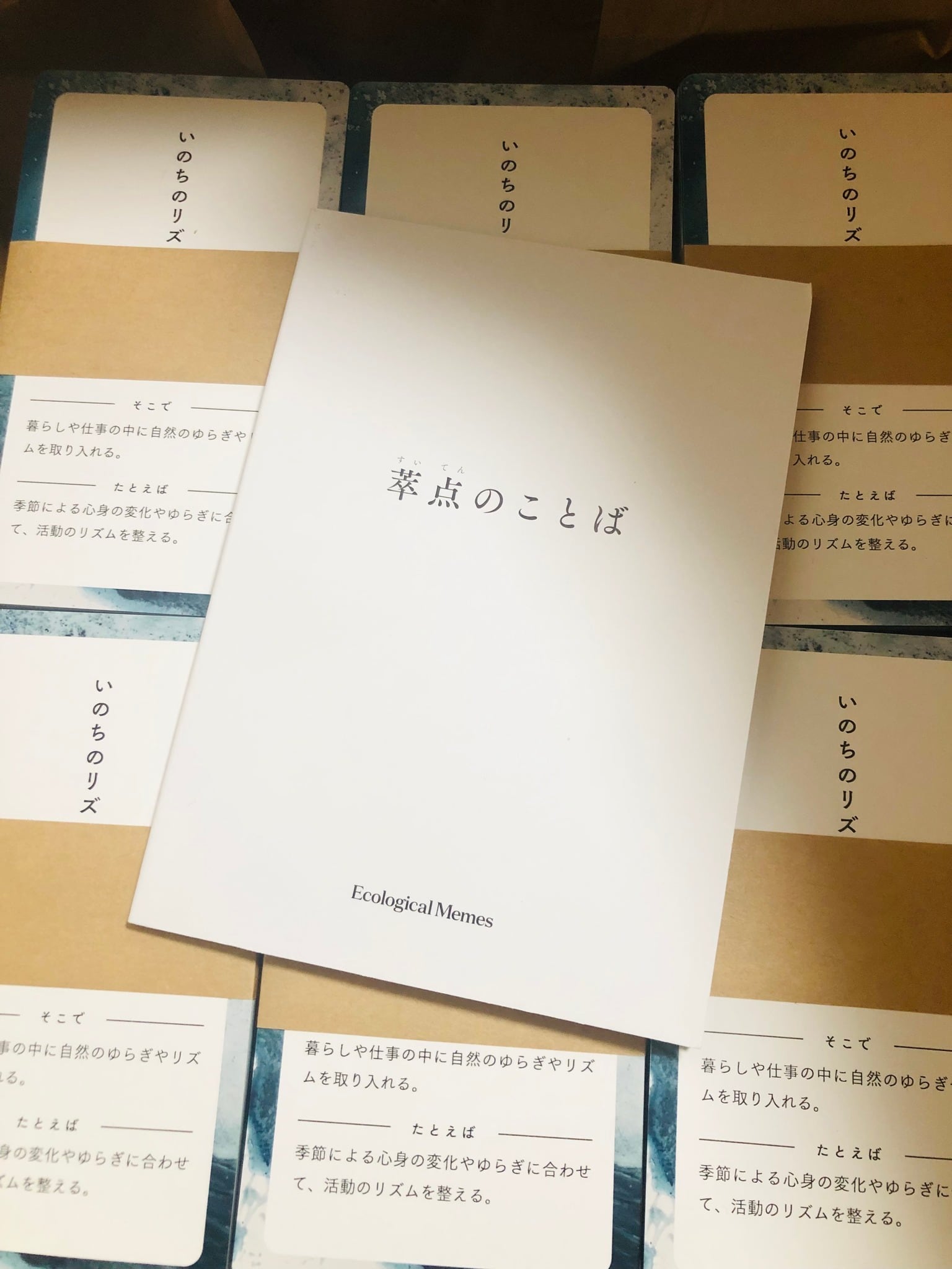 萃点のことば】カード・小冊子 1セット | Ecological Memes