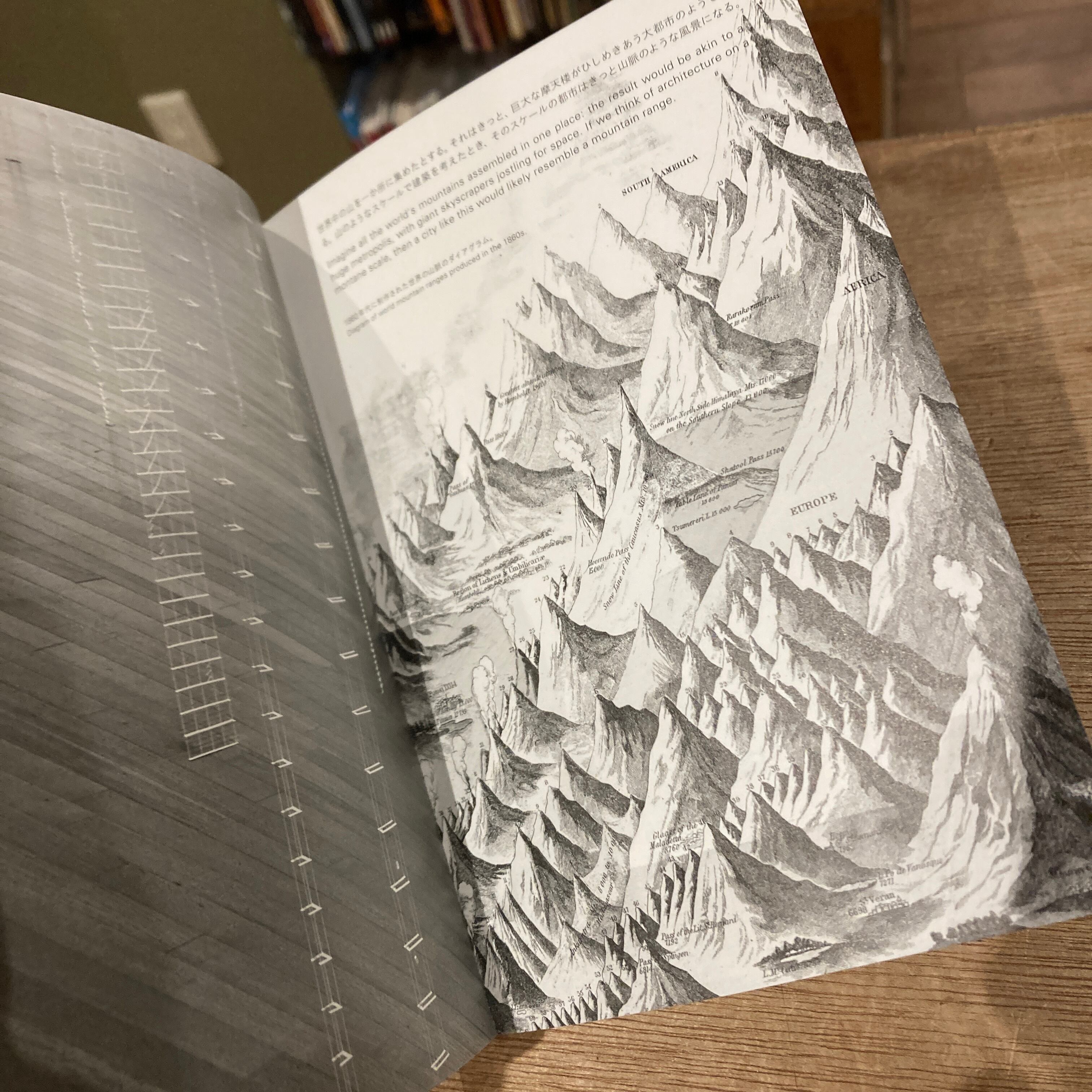 石上純也 建築のあたらしい大きさ 石上純也 ー 建築のあたらしい大きさ - books used and new, flower