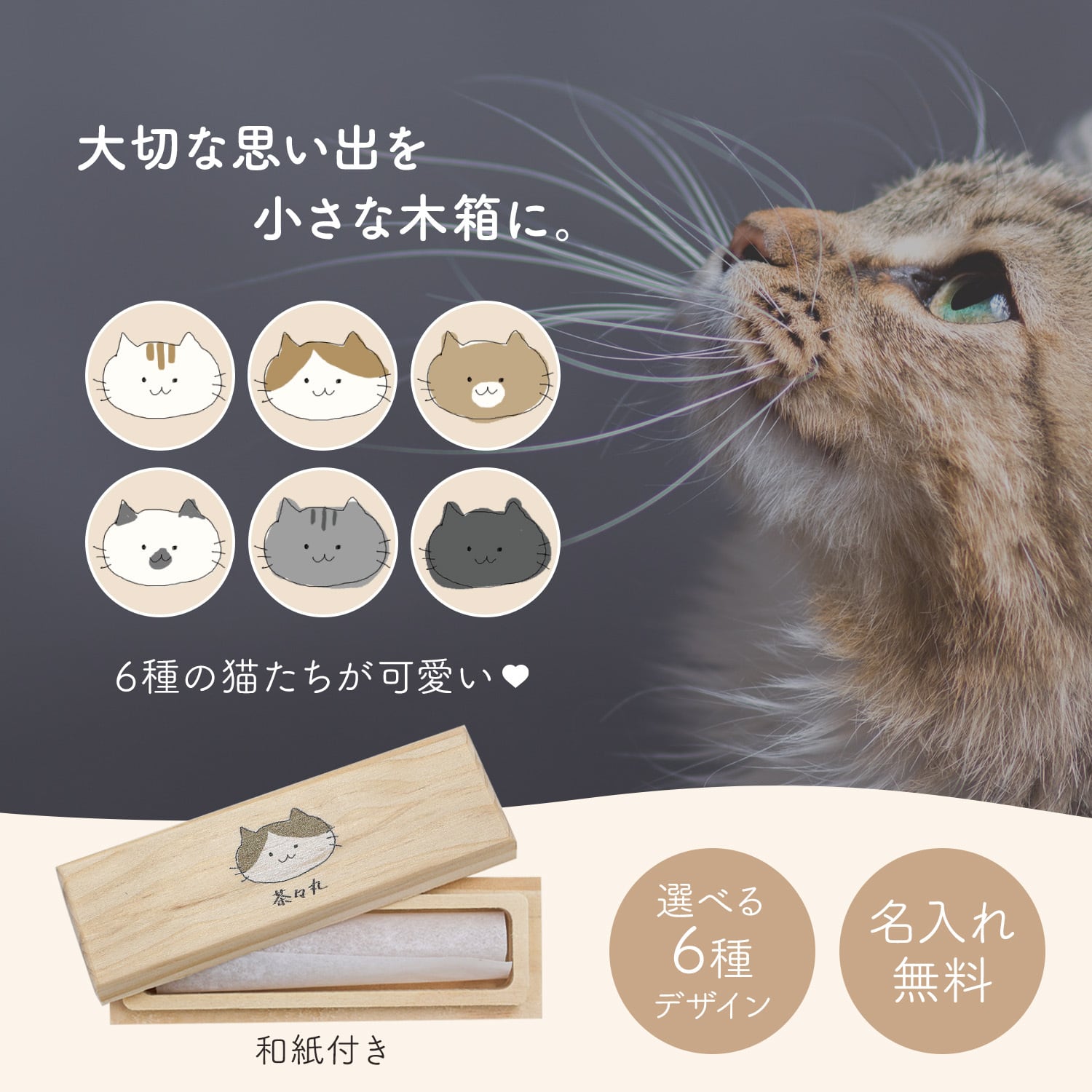 猫のひげケース | MRG JAPAN Direct