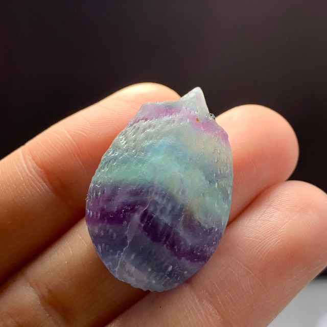 キュートなフローライトハリネズミさん