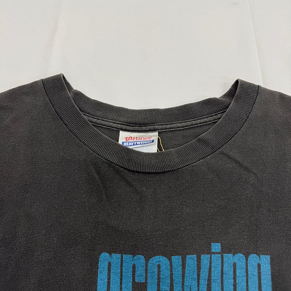 96年製 HI-STANDARD Growing up US-Tour Tee L | Used&Vintage リアクロ