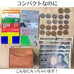 春色の手のひらミニ財布　イタリアンレザー《ミントグリーン》【数量限定】