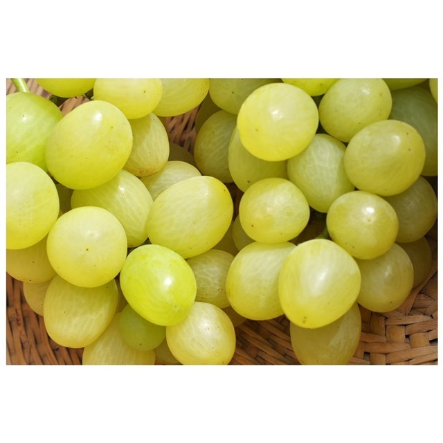 天山２～３房（１．０ｋｇ以上）家庭用