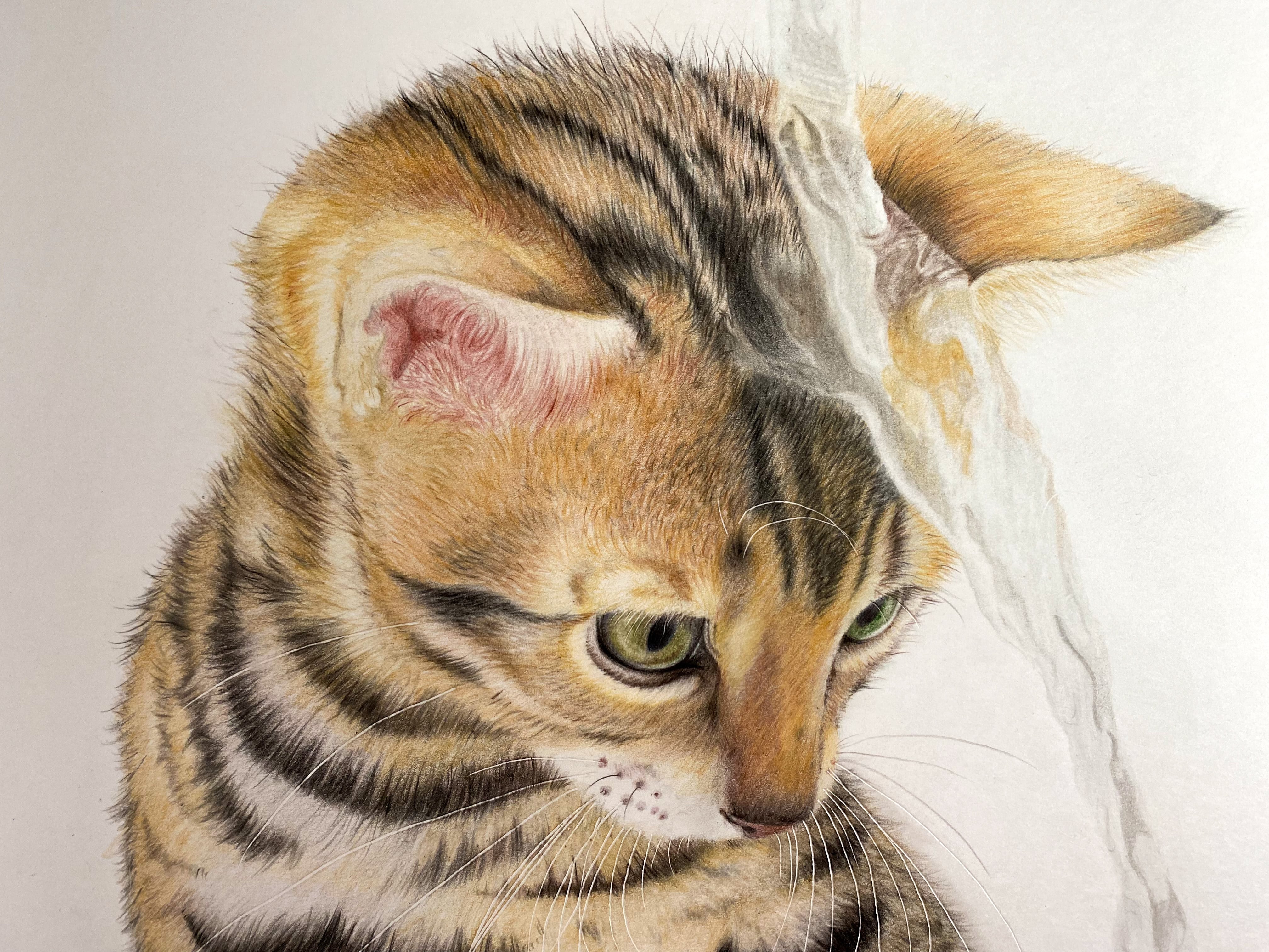 オーダー注文_B2サイズ