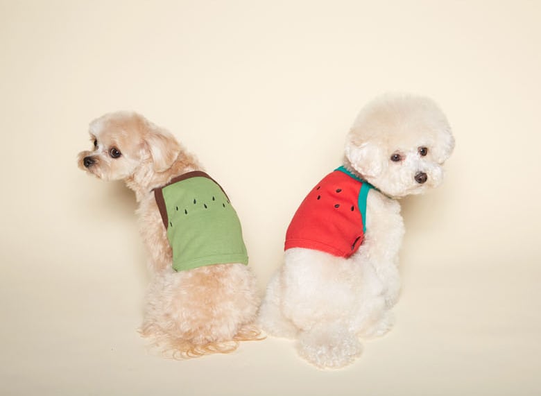 フルーツクロップドトップス S ~ 2XL / 犬の服 犬服 ペット洋服 ドッグウェア ペット用品 小型犬 中型犬 top115