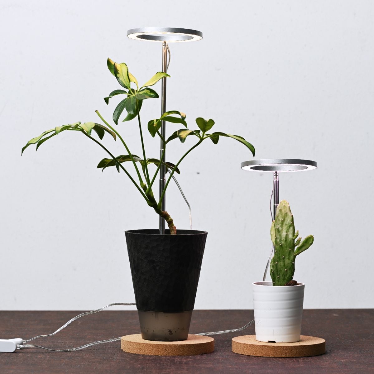 植物育成用LEDライト「オロハライト」～ タイマー付きで便利で